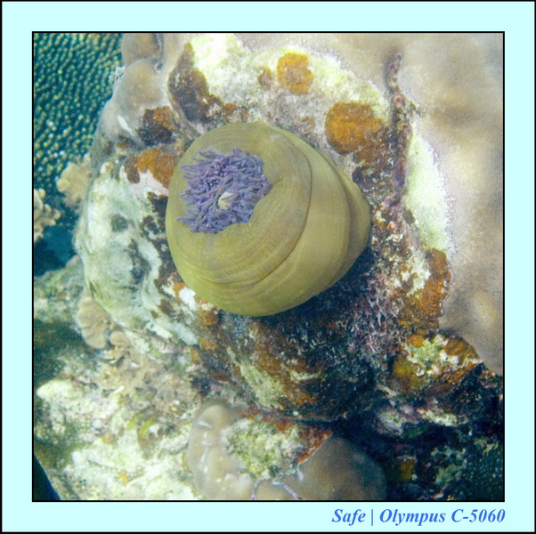 2008 - 07 - Redang - 074